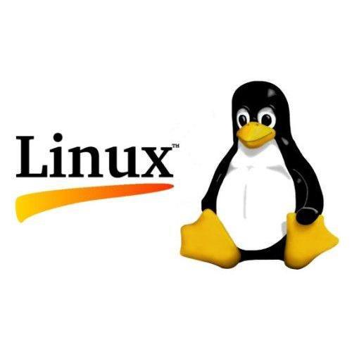 Logo Linux